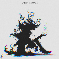 INVEIN - WHO KNOWS