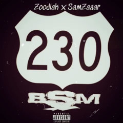 Zoodiak x SamZaaar-Bsm
