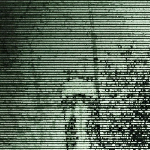 N̸u̶k̶l̸e̸a̶r̸