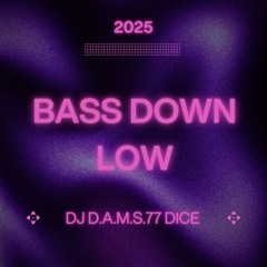 DJ D.A.M.S.77 DICE Bass Down Low 2025