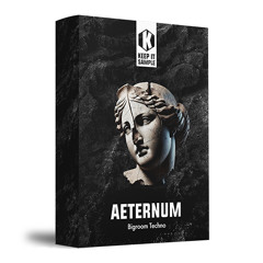 Bigroom Techno Sample Pack - "AETERNUM"