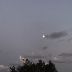 looking right at me - prod. xerxe & sunshine manson