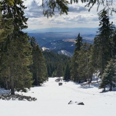 Boy Pablo - I hope she loves me back
