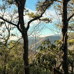 LOOKOUT in TECHNICOLOR