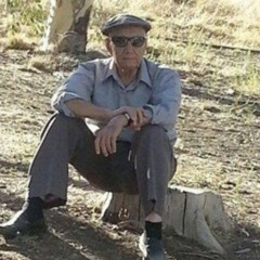 بیگنهی نزد شهی