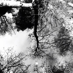 Reflection (string quartet no.1)
