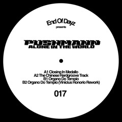 Pushmann "Closing In Medallo" DAYZ017 Snippet