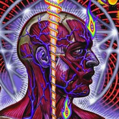 the history of the world Psicodelic Raiidall Remix●̲̲̅̅̅̅=̲̲̅̅̅̅●̲̅̅]