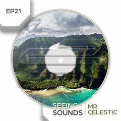 SS 21 (MR CELESTIC GUEST MIX)