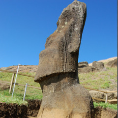 Follow Apology prod boomerang kid