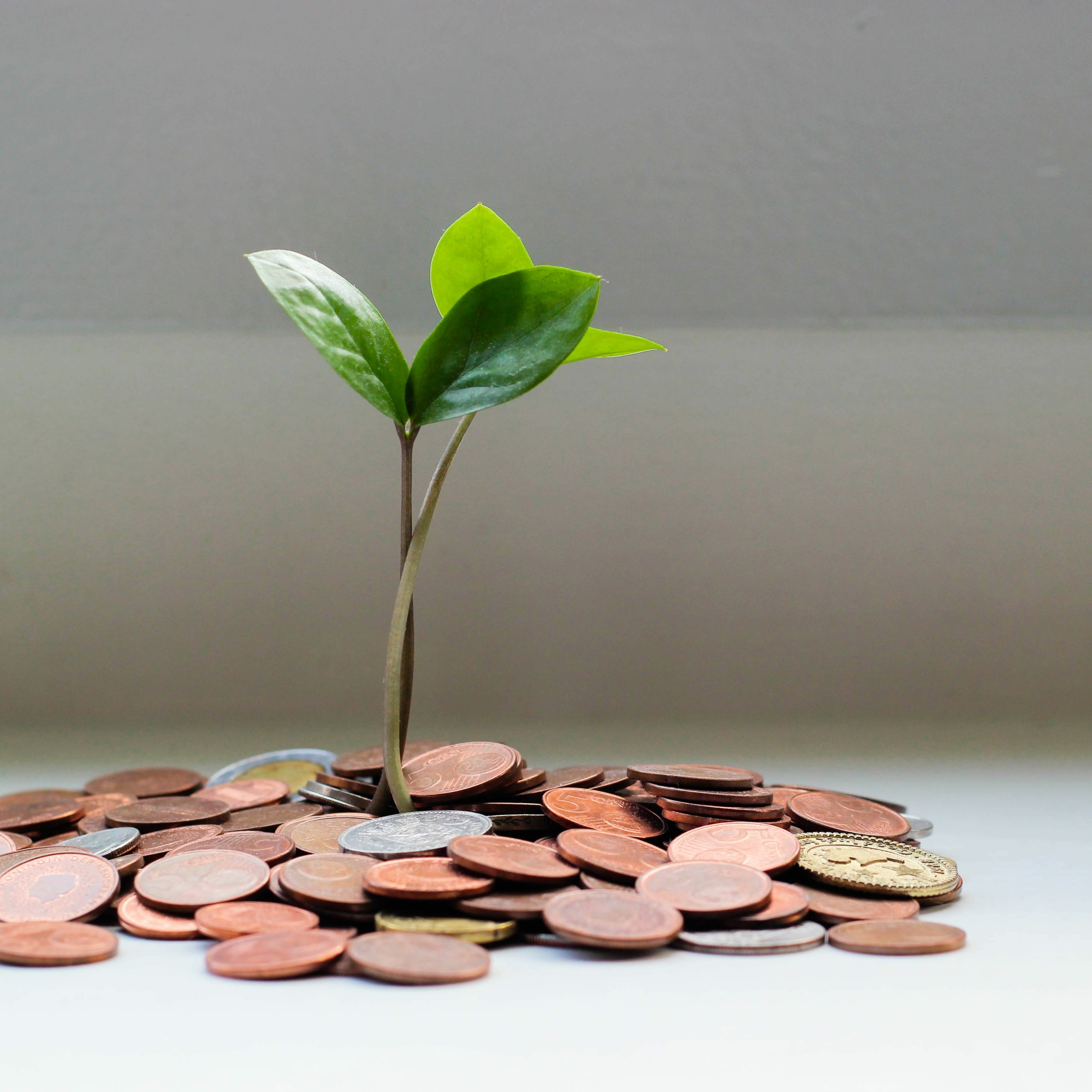 Mercredis Ecologie - Youmatter