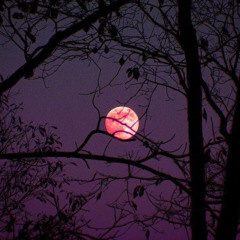 put ur money where ur mouth is