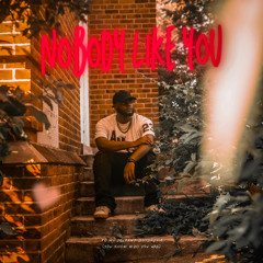 Nobody Like You (Remix)