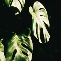 Wax Poetics Soul Searching Mixtape