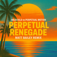 Wildchild vs Perpetual Motion – Matt Bailey Remix (free Download)