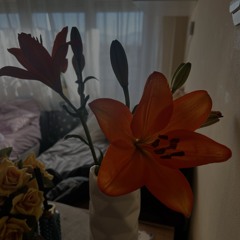 so easy (to fall in love with)🪉-(shortened)