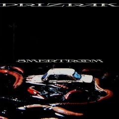 SMERTROOM | FREE DL