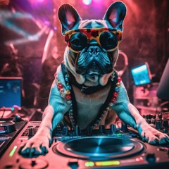 My Mix - House Fete De La Musique