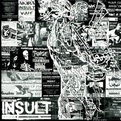 Insanity Reigns Supreme - Insult