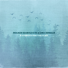 Szászcsávási Szökős