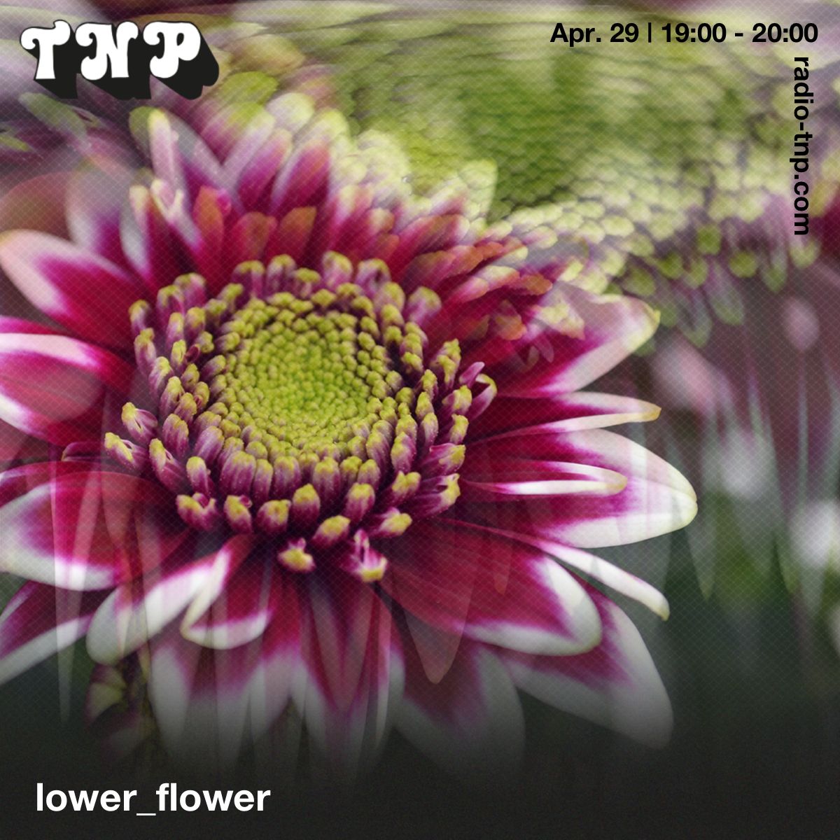 lower_flower