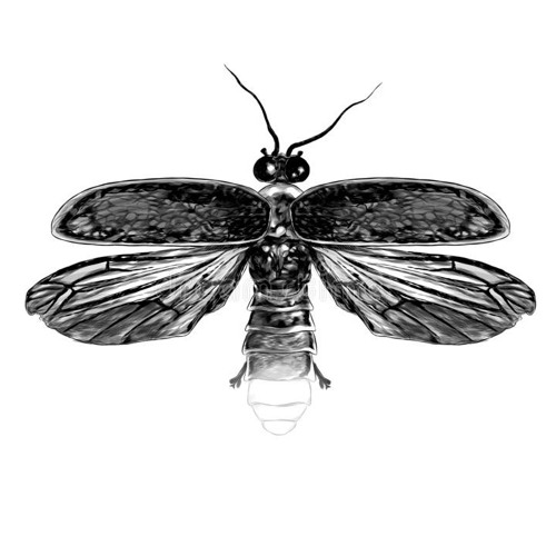 Stream Fireflies by Leigh Anne Robichaux Listen online for free on SoundCloud