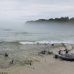 Corn Rigs (Paul Giovanni cover)