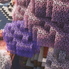 Paragon Kingdom