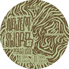 PREMIERE: Najem Sworb - Egliep (The Leap remix) (Wolfskuil Records)