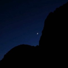 EMOTIONAL FREQUENCY VOL2