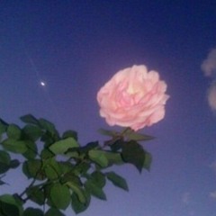 Rich Lifestyle [33nimb]