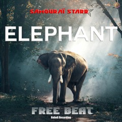 Elephant  | FREE BEAT 2022 | FREE FOR PROFIT