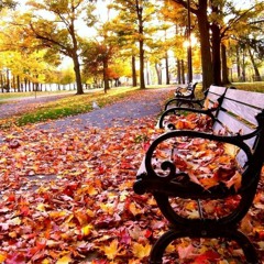 BADARUUGAN - SERUUN TSETSEGS