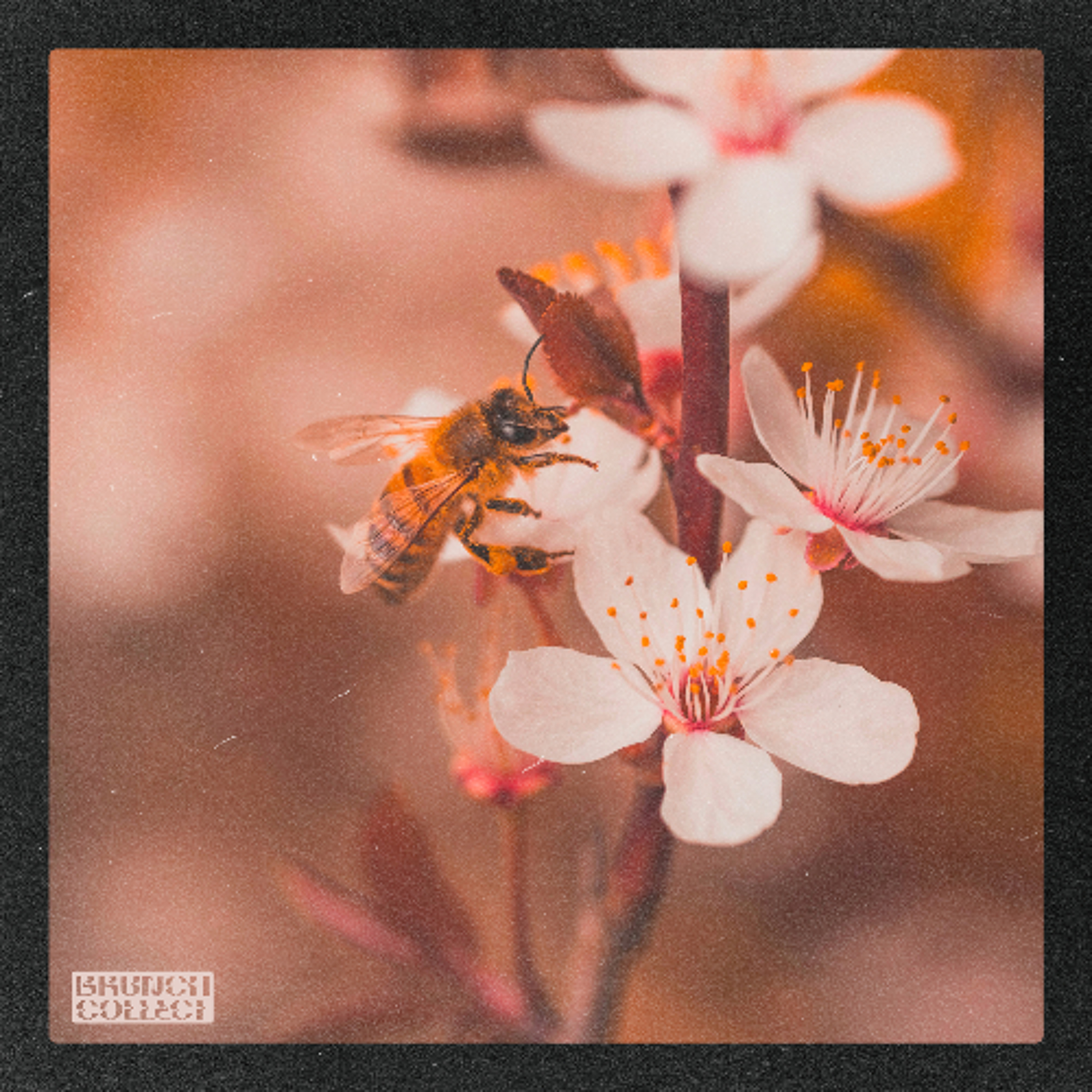 Fla.andrei x Flingu - Busy Bee episode artwork