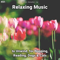 Relaxation Music