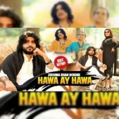 Hawa Ay Hawa  Zeeshan Khan Rokhri Official Video  Rokhri Production.mp3