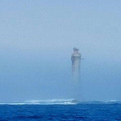 Feedback avec Paul Hertmann | 01.10.24