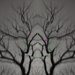 Perpetual Oak-Dark Branches
