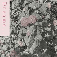 dreams from bunker hill