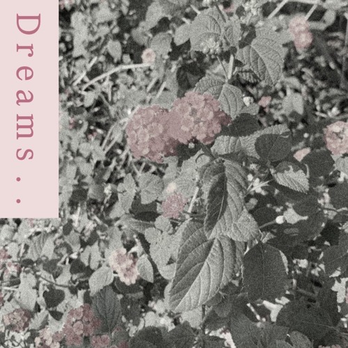 dreams from bunker hill