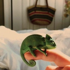 Chameleon Selects #2