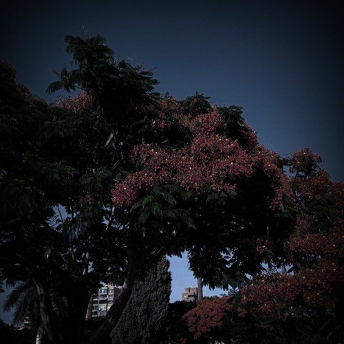 Phase (snippet)