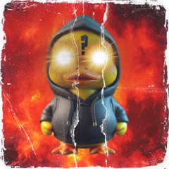 WHY THE DUCK!?!?!