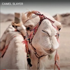 CAMEL SLAYER § § Pedram and Panic together