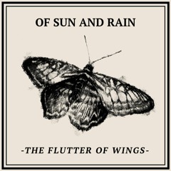 Of Sun And Rain - You Were Never Really Here [Starry Earth]