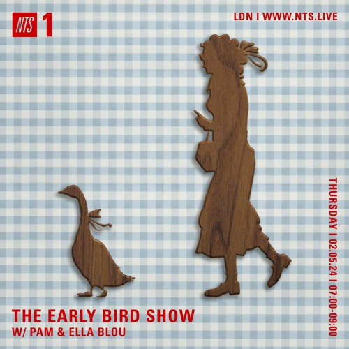 Guest Mix for Early Bird Show w/ Pam 020524