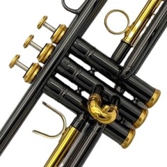 Little N-word Trumpet ( I can’t say the hard r bc SoundCloud is pussy)