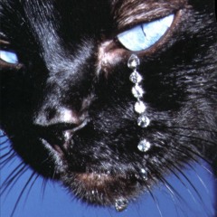 veryolddog x rorcon4 x alla pugacheva