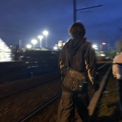 AntiMoustique