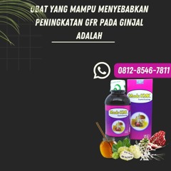 Obat Yang Mampu Menyebabkan Peningkatan Gfr Pada Ginjal Adalah Madu KMK (0812-8546-7811)